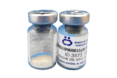 cortico_esponjoso (1)