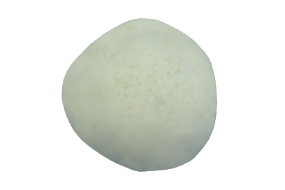 Cabeza_de_Femur (1)