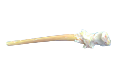 Cubito_proximal_osteocondral (1)